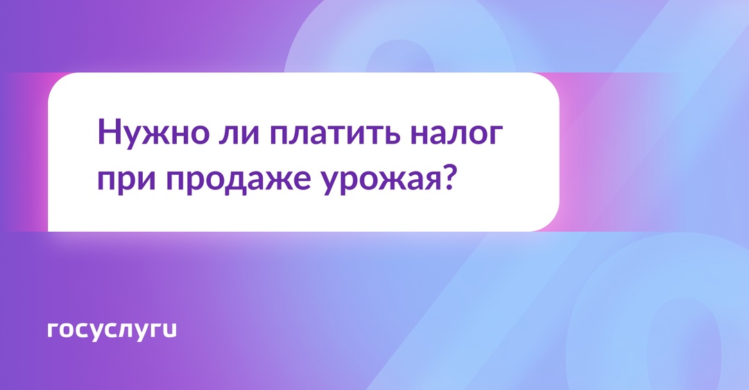 Продаю урожай со своего огорода. Нужно ли платить НДФЛ?