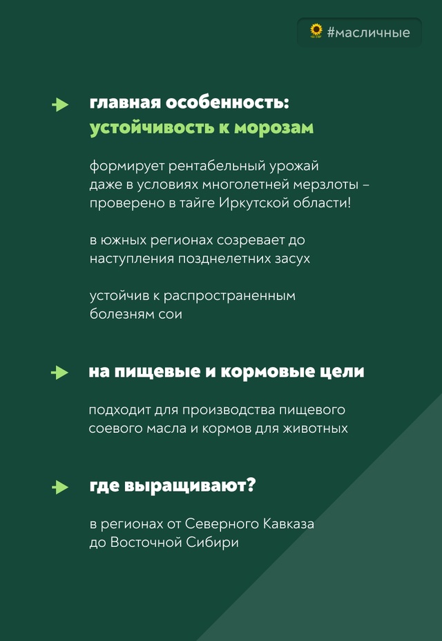 Баргузин – очень ранний сорт сои, который дает хорошие урожаи на полях от Крыма до Забайкальского края!