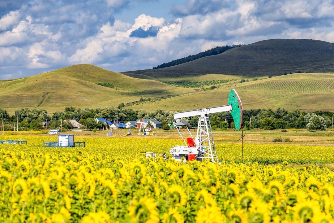 На #ФотоНедели скважина-качалка на Ромашкинском нефтяном месторождении