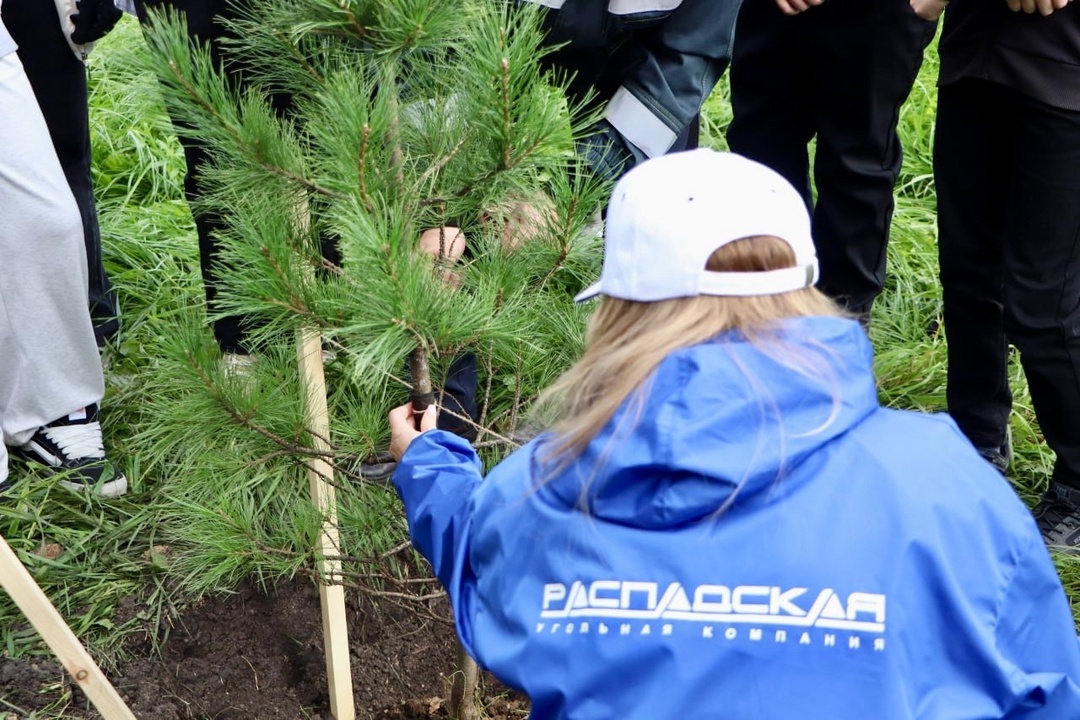 Высадили деревья в рамках всероссийской акции «Сохраним леса»