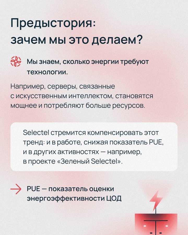 15 сентября в лесах Московской и Ленинградской областей в пятый раз прошла акция «Зеленый Selectel»