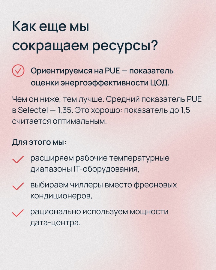 15 сентября в лесах Московской и Ленинградской областей в пятый раз прошла акция «Зеленый Selectel»