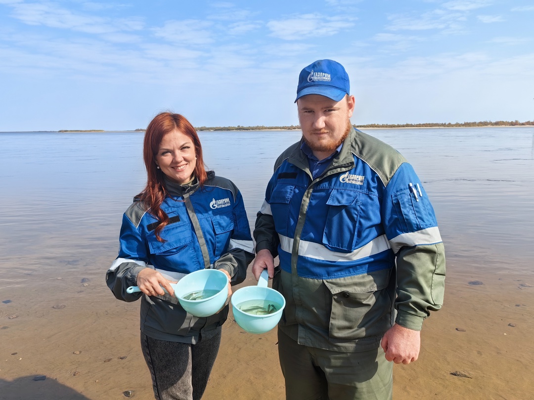 АМУРСКИЕ ГАЗОВИКИ ВЫПУСТИЛИ В РЕКУ ЗЕЯ МАЛЬКОВ САЗАНА