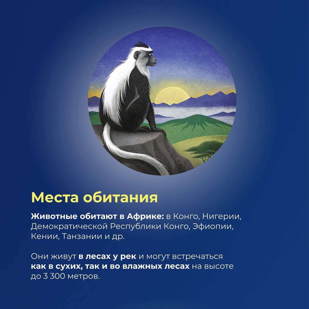 Гость из тропиков в сердце Москвы грустит вместе с нами по уходящему лету