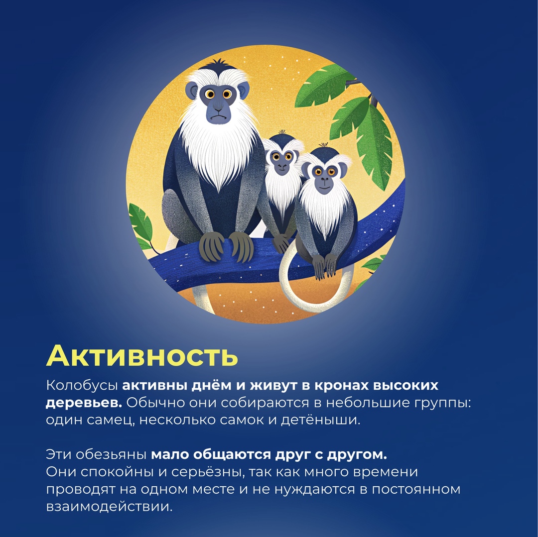 Гость из тропиков в сердце Москвы грустит вместе с нами по уходящему лету