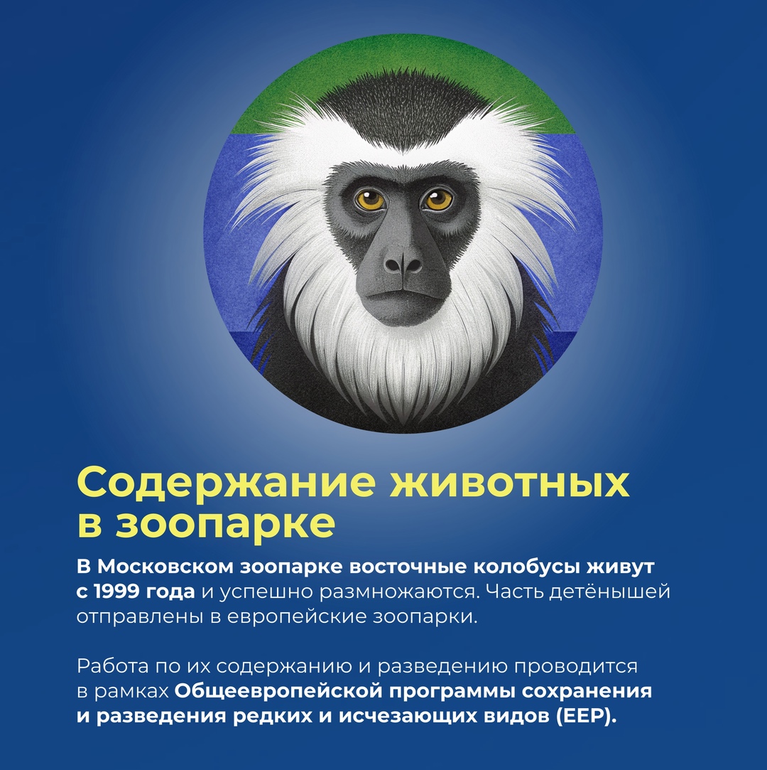 Гость из тропиков в сердце Москвы грустит вместе с нами по уходящему лету