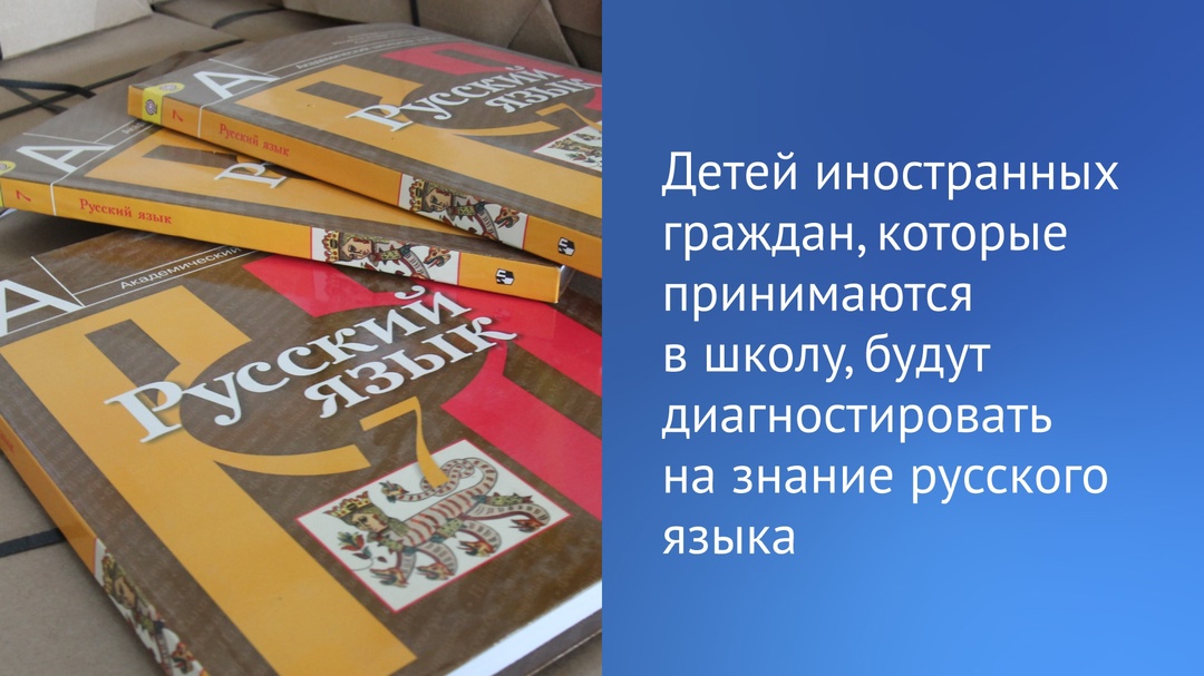 Необходима обязательная диагностика на знание русского языка детей иностранных граждан, которые принимаются в школу.