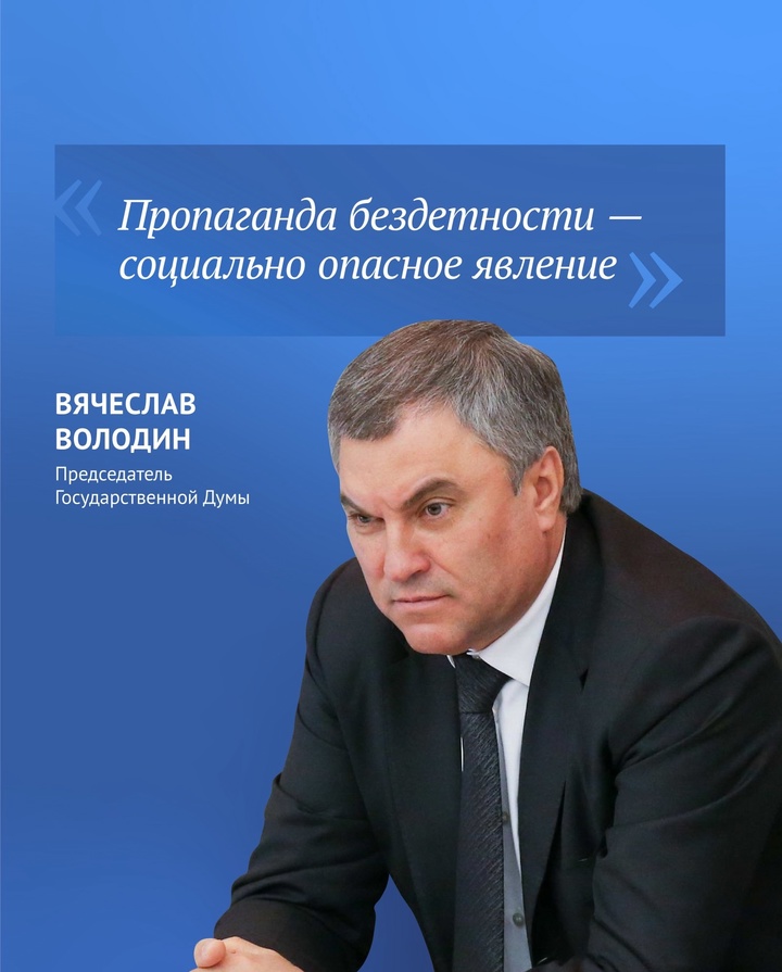 Вячеслав Володин рассказал, что значит пропаганда чайлдфри.