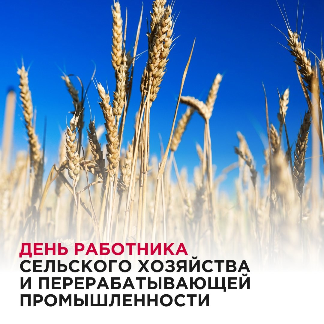 Сегодня в России отмечается День работника сельского хозяйства и перерабатывающей промышленности!