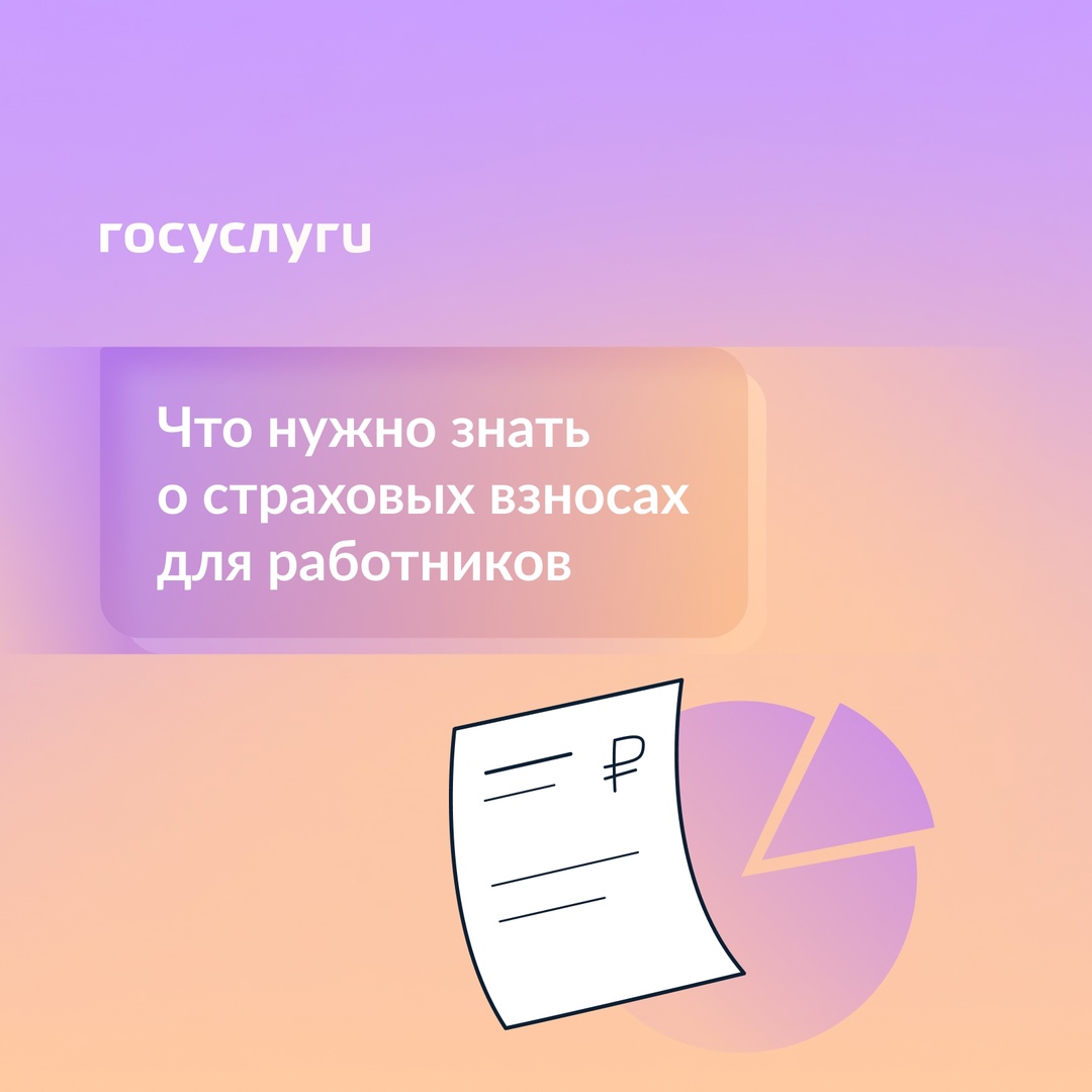 Работодатель платит за вас взносы: на что они идут