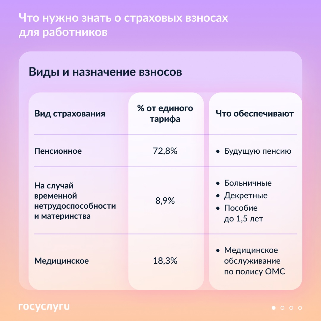 Работодатель платит за вас взносы: на что они идут