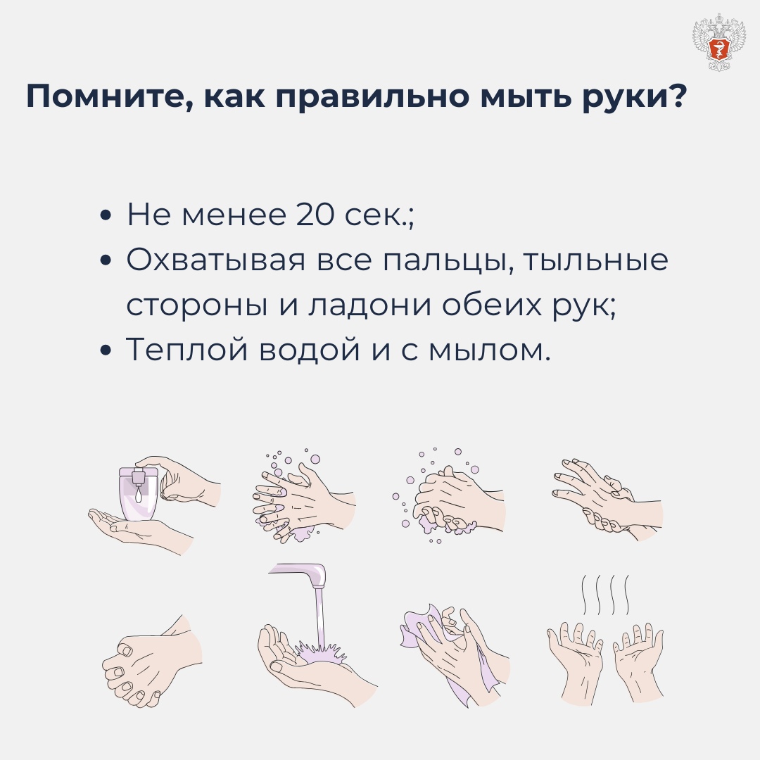 Не забывайте регулярно мыть руки При мытье рук отдавайте предпочтение жидкому мылу, а при использовании твердого мыла следите, чтобы оно находилось в сухой…