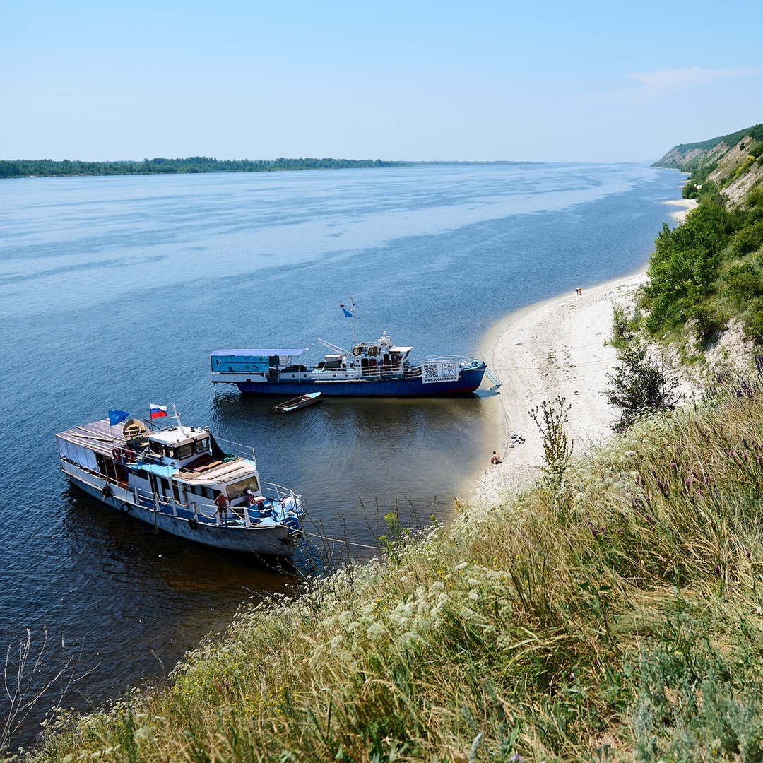 Удивительно: когда людей еще не было, на Земле уже водились аристократы! Это если буквально понимать выражение «голубых кровей»