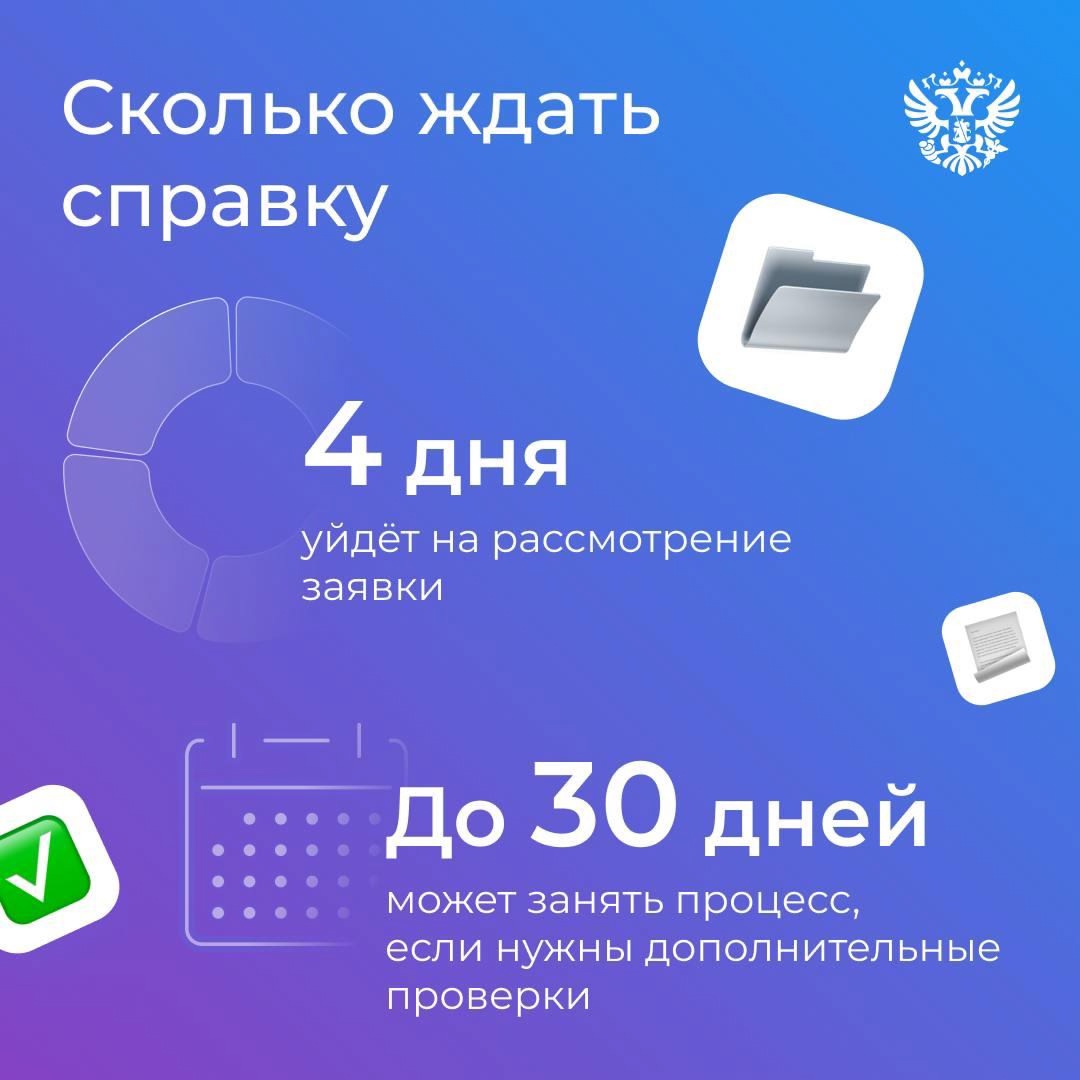 Одна вместо всех: упрощаем сбор документов на получение поддержки участникам СВО и их семьям