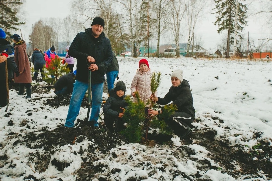 Посадили лес с Распадской: 50 сосен поселились на Аллее героев в Костенково