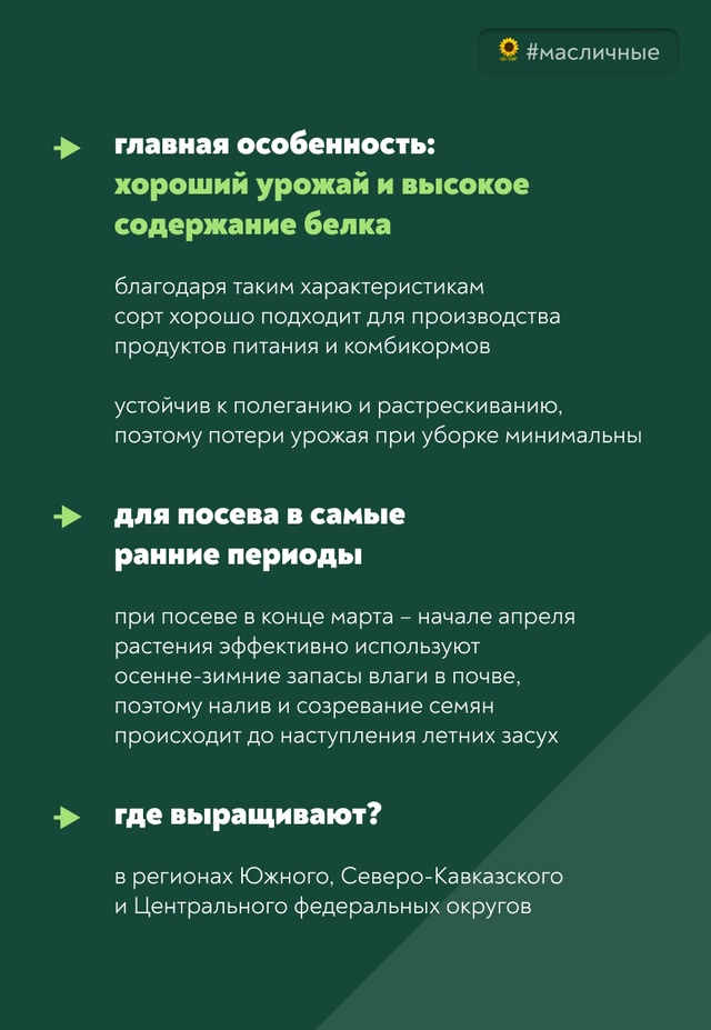 Ирбис, но не снежный барс А селекционная разработка наших ученых!