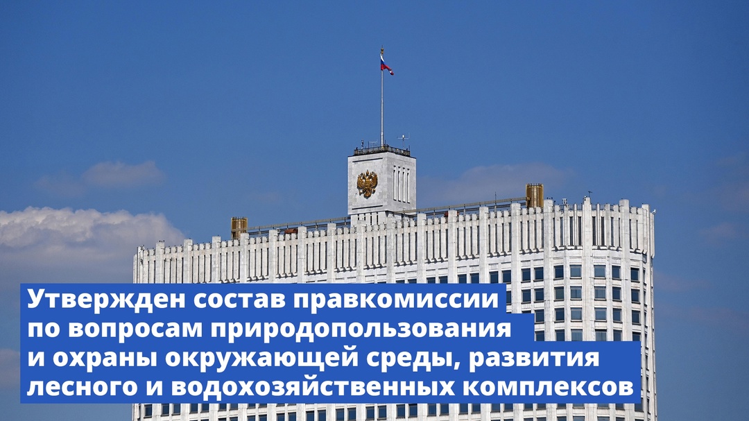 Михаил Мишустин утвердил состав правкомиссии по вопросам природопользования и охраны окружающей среды, развития лесного и водохозяйственных комплексов