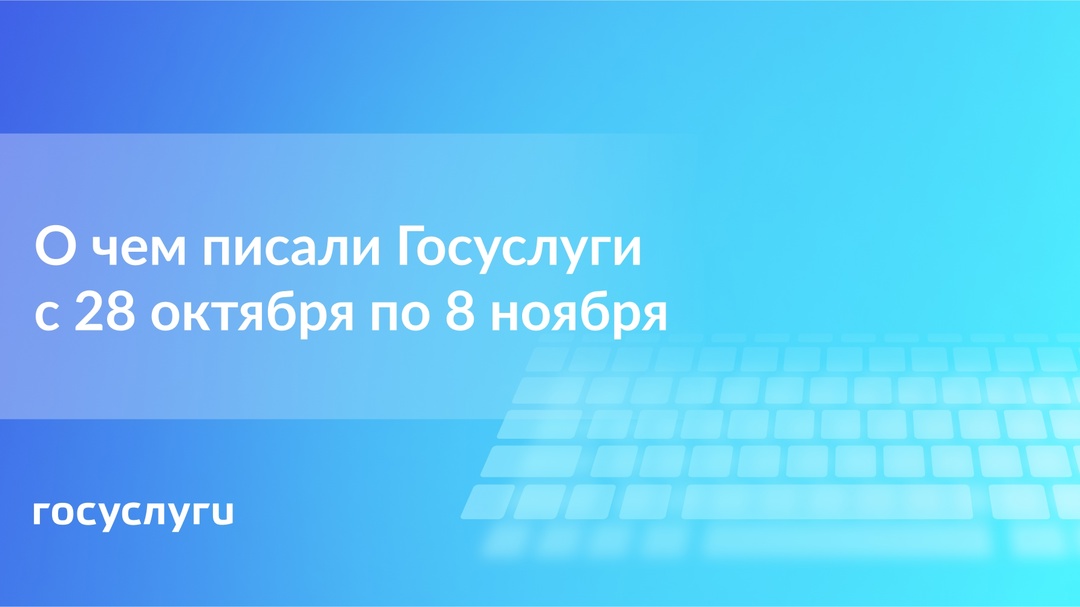 О чем писали Госуслуги с 28 октября по 8 ноября