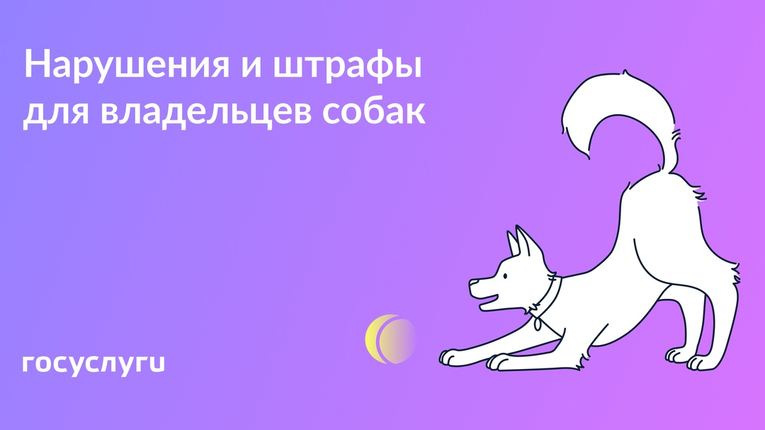 Без поводка и лает: как хозяева собак нарушают права соседей и что с этим делать