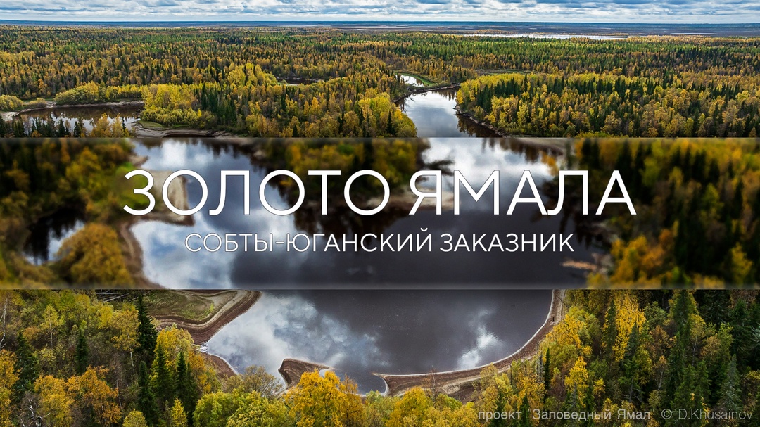 Золотые леса с яркой морошкой на зеленом мхе, бесконечные водные просторы и нетронутые дикие земли — путешествуем дальше по «Заповедному Ямалу».