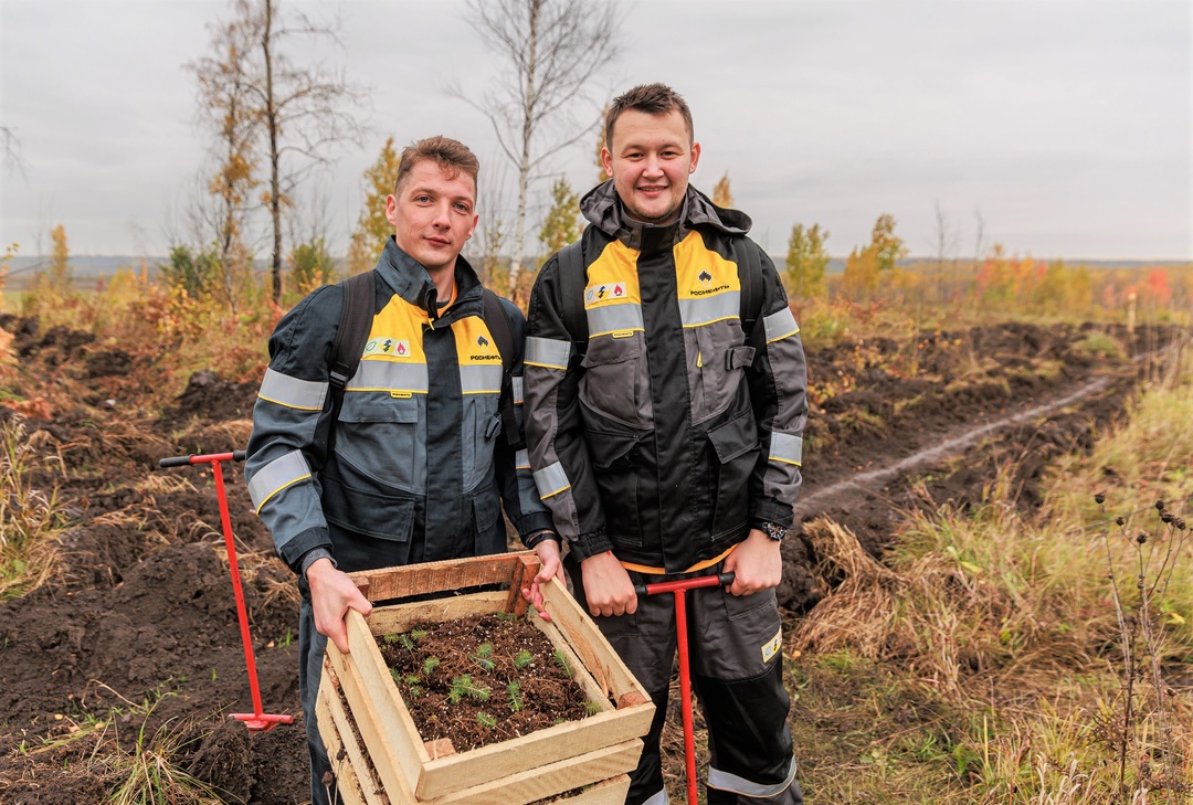 Вклад в будущее «РН-Ванкор» высадил 400 тысяч сосен в Красноярском крае. Ещё ванкорцы заботятся о водоёмах, выпуская миллионы мальков.