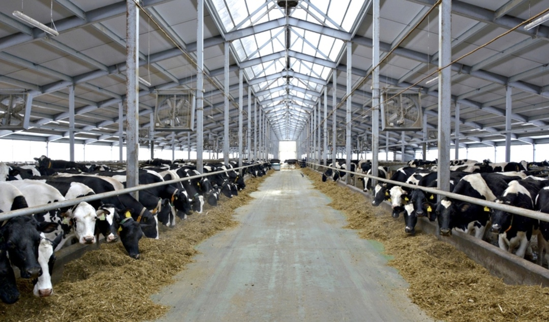 Компания «Хабаровское молоко» инвестирует 3,6 млрд руб. в строительство молочного комплекса, запустить который планируется в 2029 году, сообщает пресс-служба…