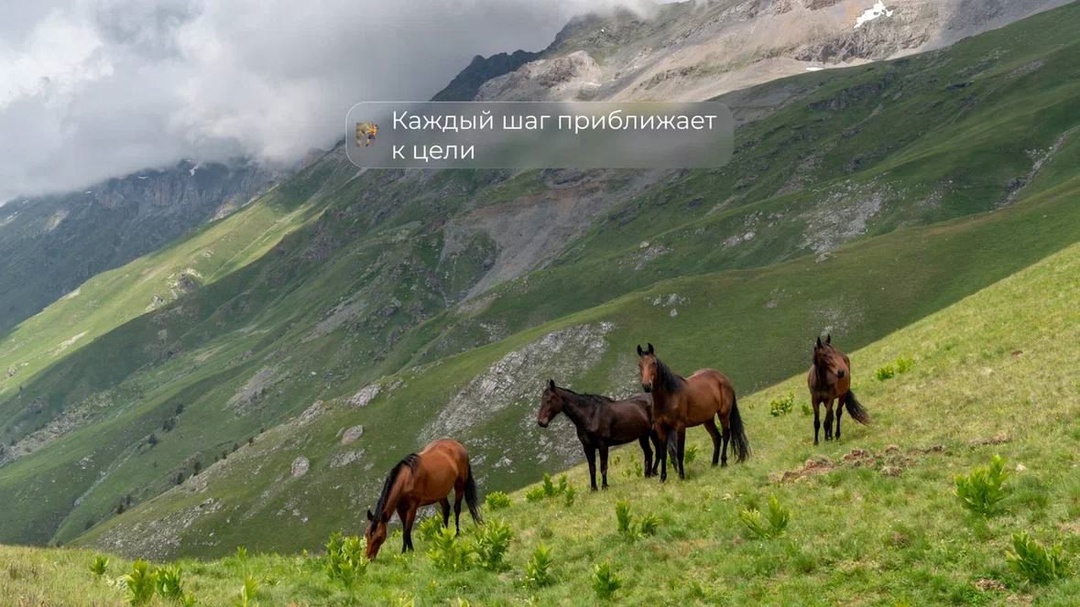 У Кавказ.РФ сегодня день рождения!