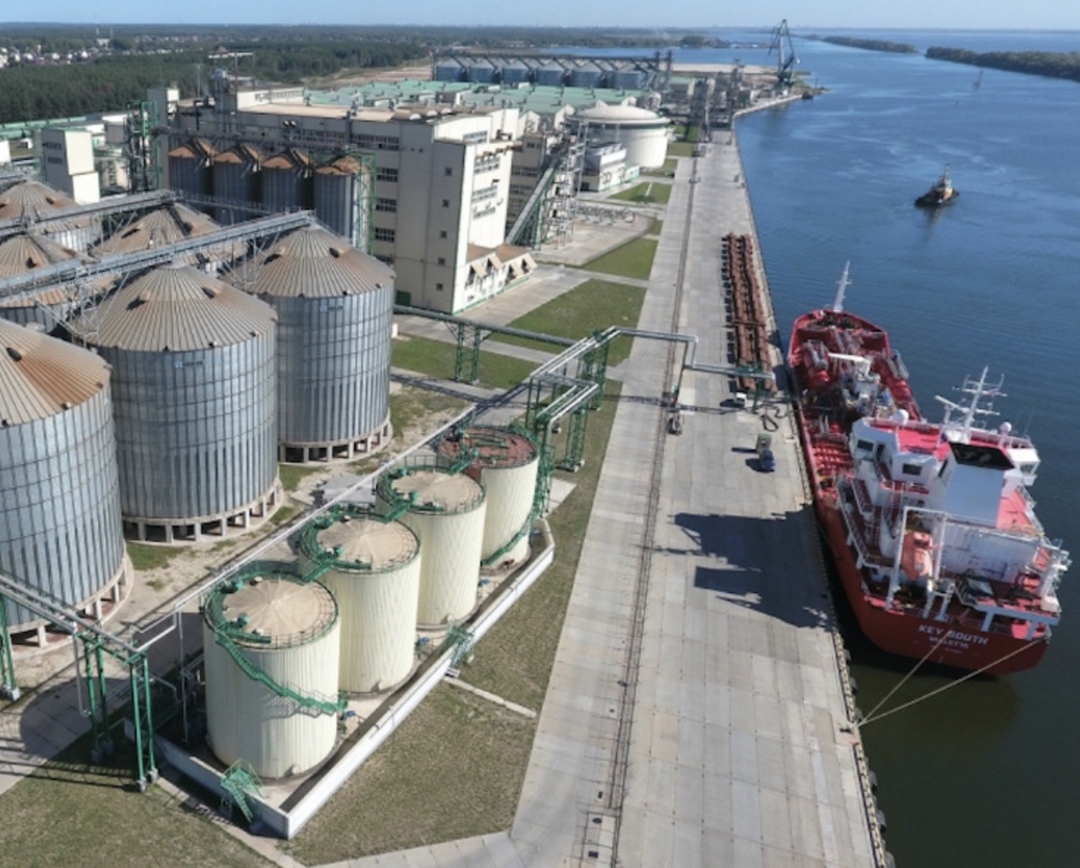 За счет ожидаемого увеличения ценового индекса и ослабления курса рубля пошлина на экспорт пшеницы продолжит повышаться, что окажет давление на закупочные цены…