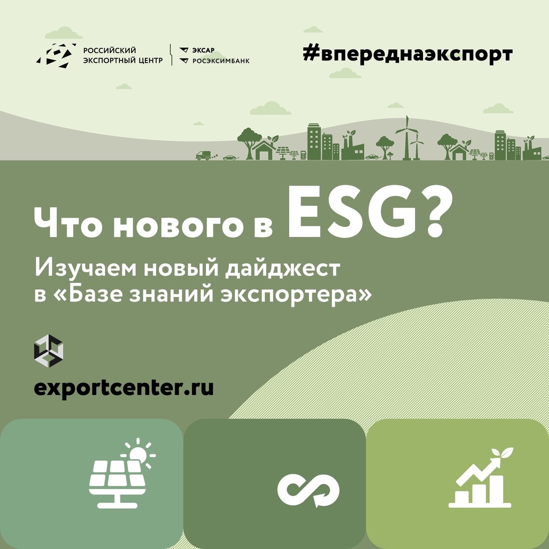 Как устойчивое развитие влияет на бизнес, и что вам нужно знать?