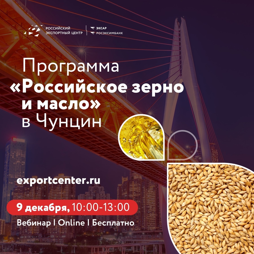 EXPORT ONLINE уже завтра ️ Главное об экспорте через маркетплейсы — за один день!