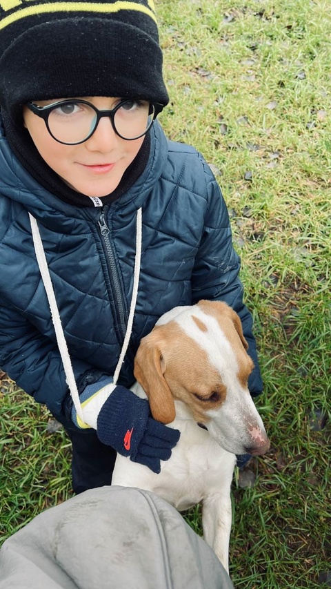 Даже хмурый день можно сделать счастливым, если рядом эти очаровательные пушистики!