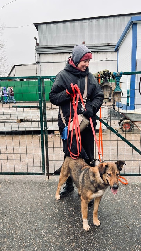 Даже хмурый день можно сделать счастливым, если рядом эти очаровательные пушистики!