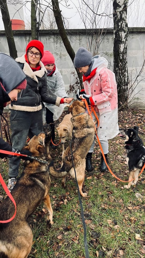 Даже хмурый день можно сделать счастливым, если рядом эти очаровательные пушистики!