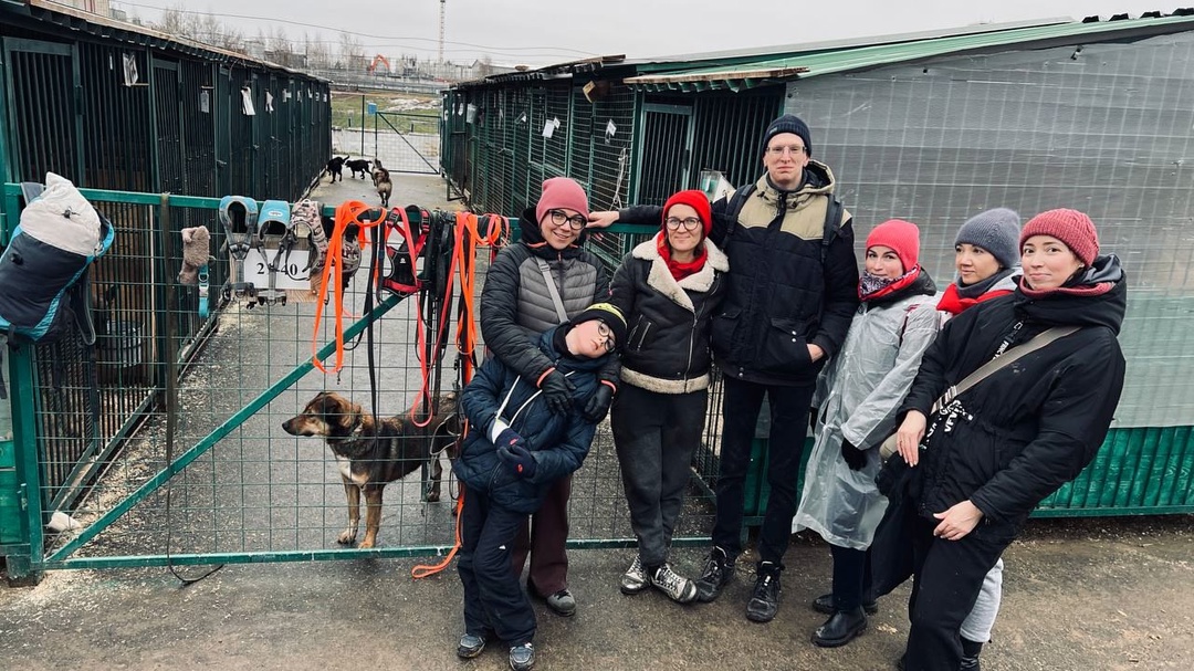Даже хмурый день можно сделать счастливым, если рядом эти очаровательные пушистики!
