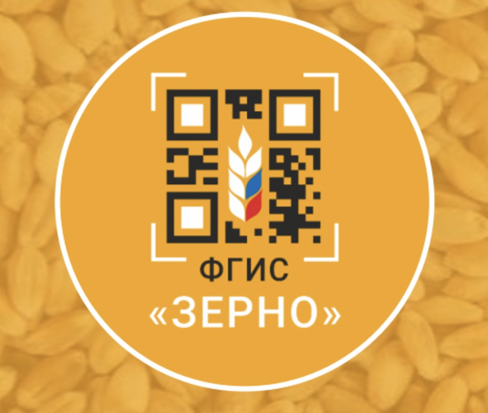 Правительство планирует с 1 февраля по 31 октября 2025 года в качестве эксперимента перевести транспортировку зерна и продуктов из него на электронный…