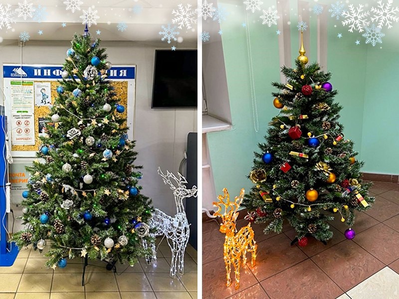 Шахта «Есаульская» досрочно выполнила годовой план по добыче угля и проходке.