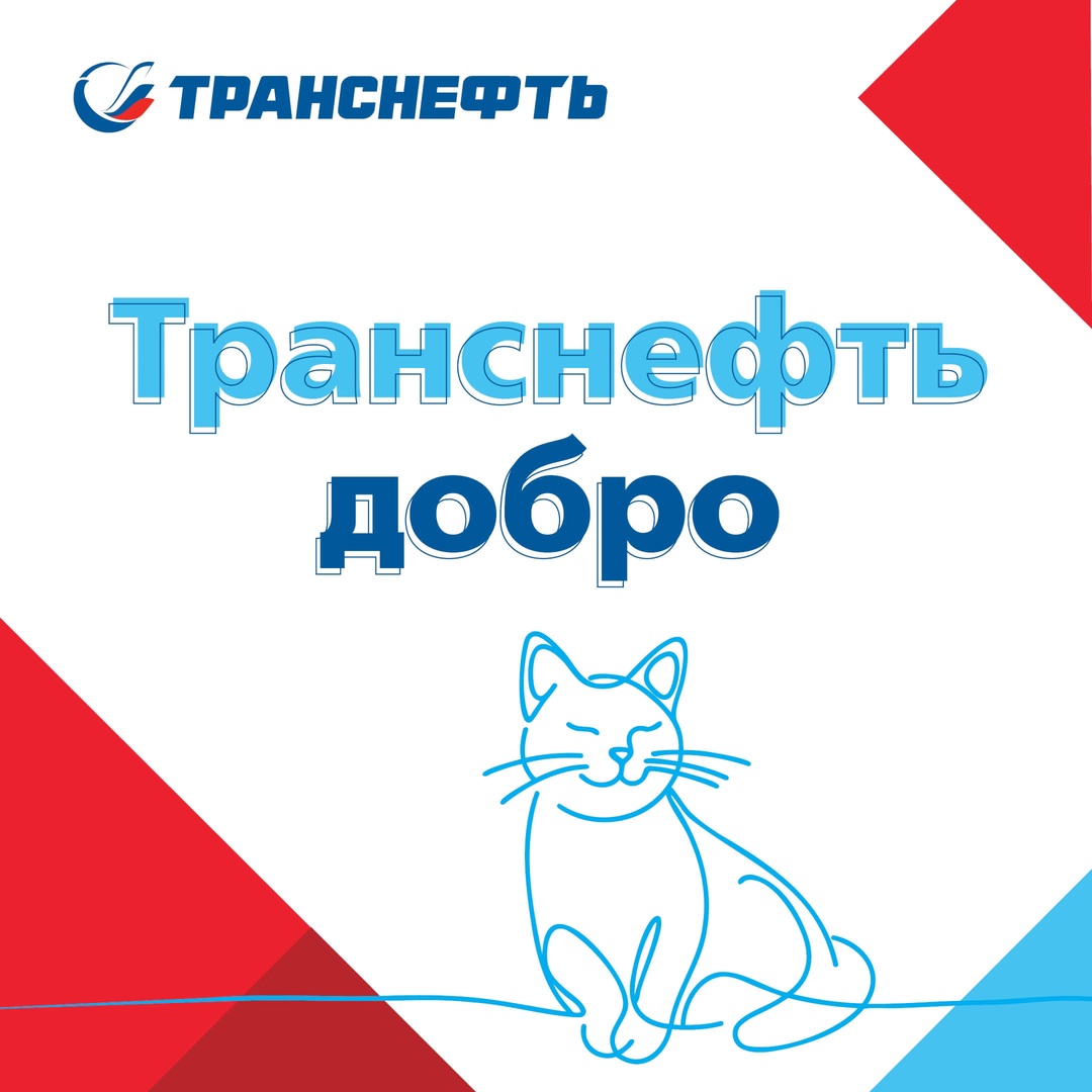 Поздравляем наших волонтеров! 5 декабря в России отмечается День волонтера. В компании «Транснефть» в работу движения вовлечено свыше 50 тыс. работников и…