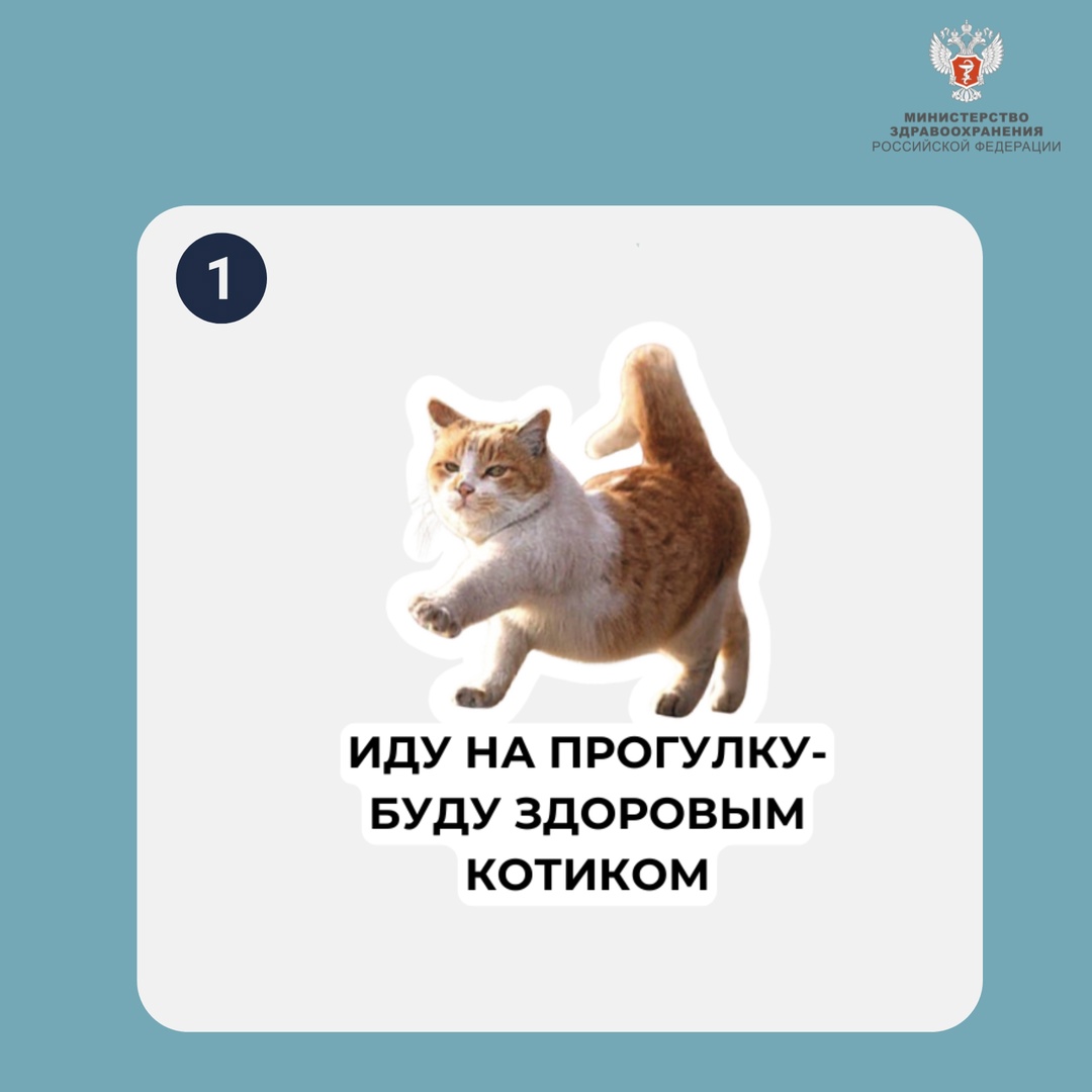 Какой вы котик сегодня? На прошлой неделе вы решали пример по картинкам. Не ожидали, что будет столько вариантов! Большое спасибо всем участникам