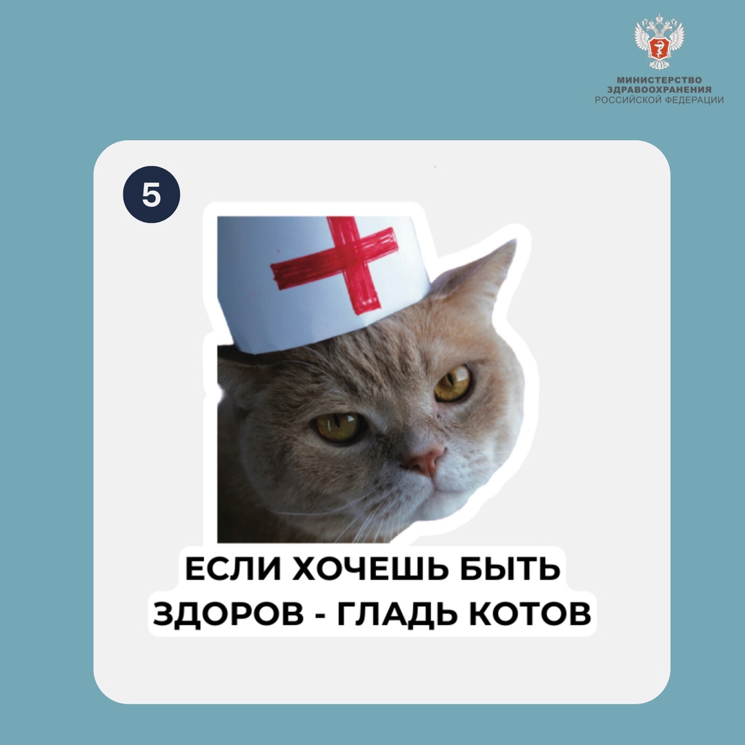 Какой вы котик сегодня? На прошлой неделе вы решали пример по картинкам. Не ожидали, что будет столько вариантов! Большое спасибо всем участникам