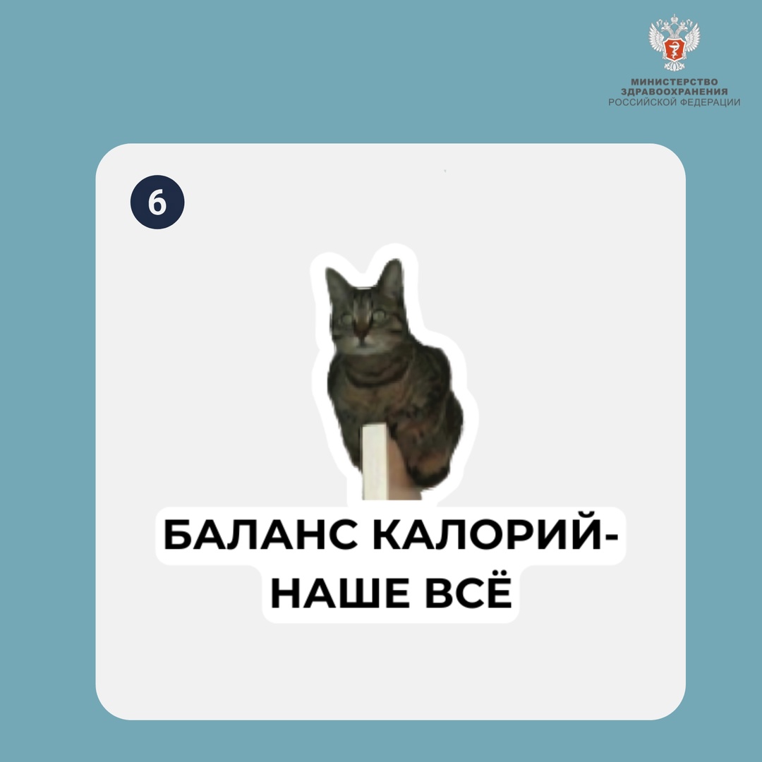 Какой вы котик сегодня? На прошлой неделе вы решали пример по картинкам. Не ожидали, что будет столько вариантов! Большое спасибо всем участникам