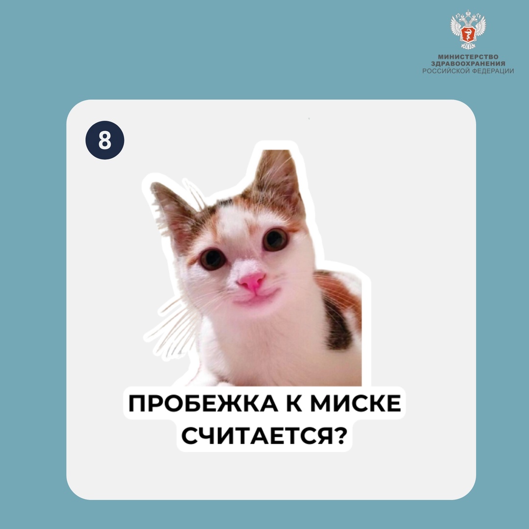 Какой вы котик сегодня? На прошлой неделе вы решали пример по картинкам. Не ожидали, что будет столько вариантов! Большое спасибо всем участникам