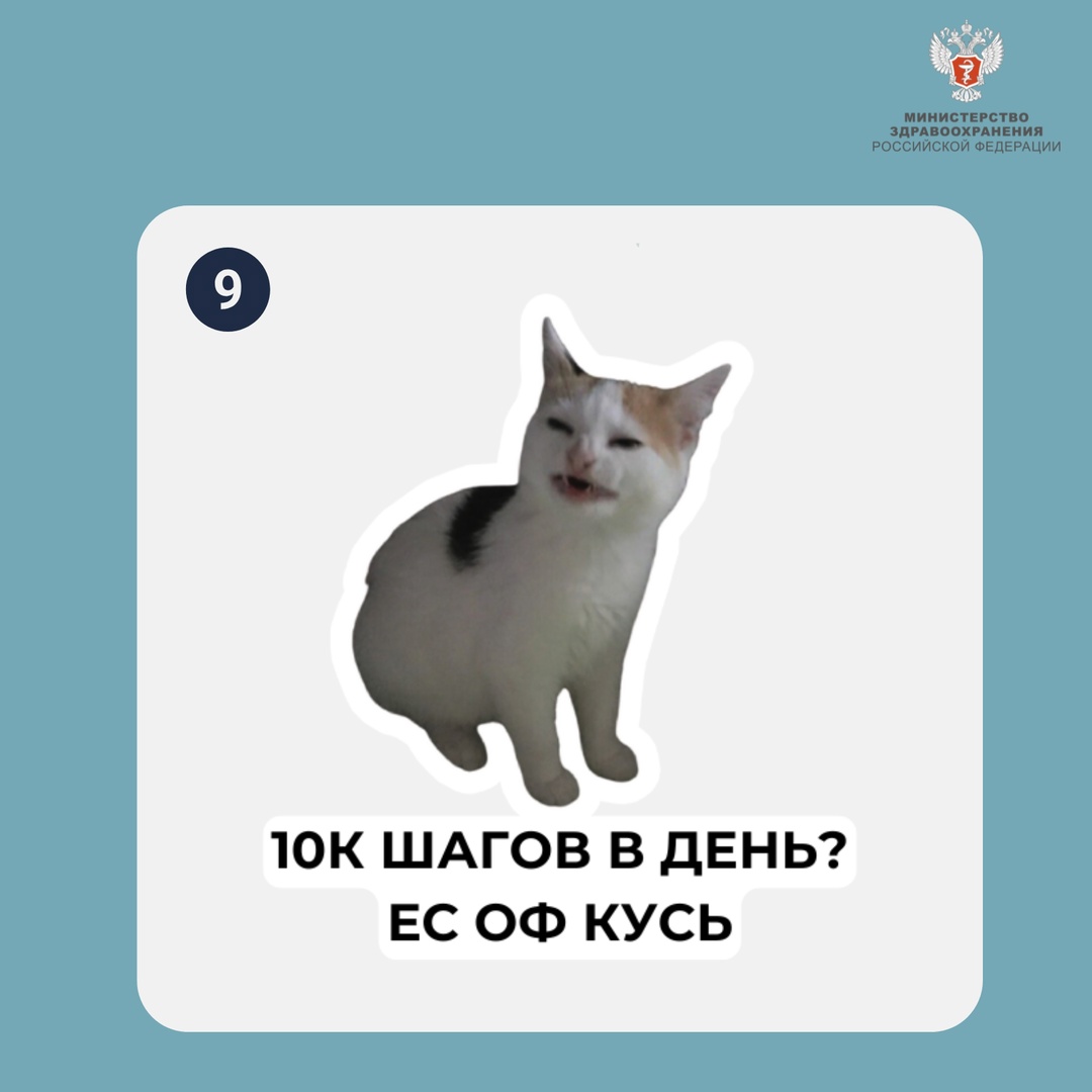 Какой вы котик сегодня? На прошлой неделе вы решали пример по картинкам. Не ожидали, что будет столько вариантов! Большое спасибо всем участникам