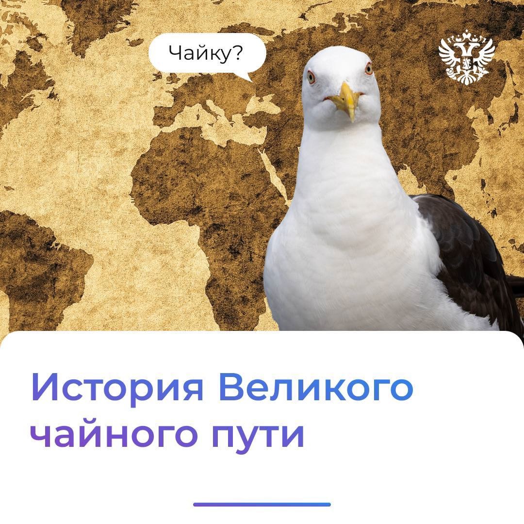 Почему только что спросили вас о чае? Да потому, что сегодня Международный день чая: мы заварили чашечку сенчи и вспоминаем, как напиток пришёл в Россию.