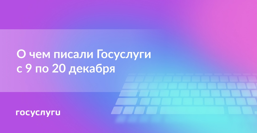 О чем писали Госуслуги с 9 по 20 декабря