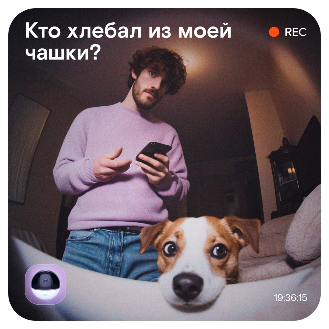 Нет, мы не сказку пересказываем. Мы просто очень хорошо понимаем владельцев пушистых проказников!