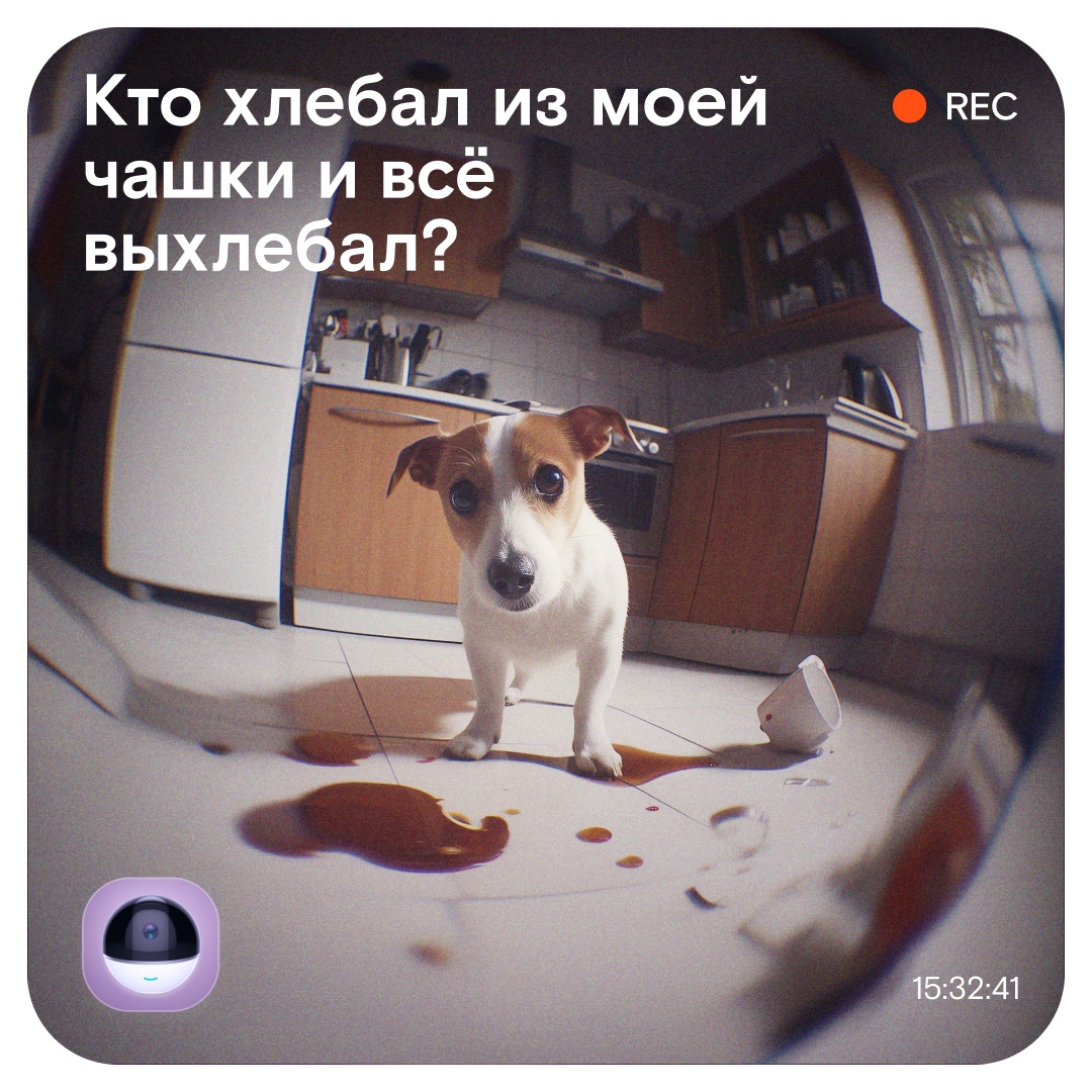 Нет, мы не сказку пересказываем. Мы просто очень хорошо понимаем владельцев пушистых проказников!