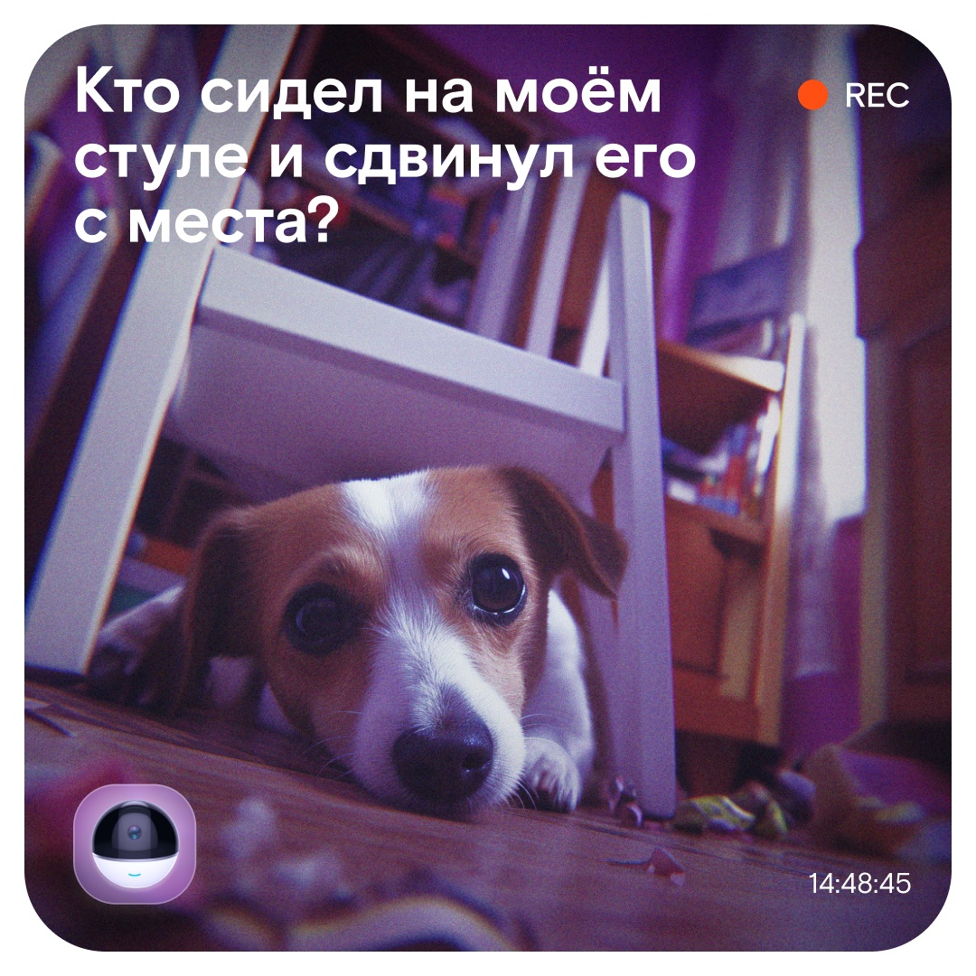 Нет, мы не сказку пересказываем. Мы просто очень хорошо понимаем владельцев пушистых проказников!