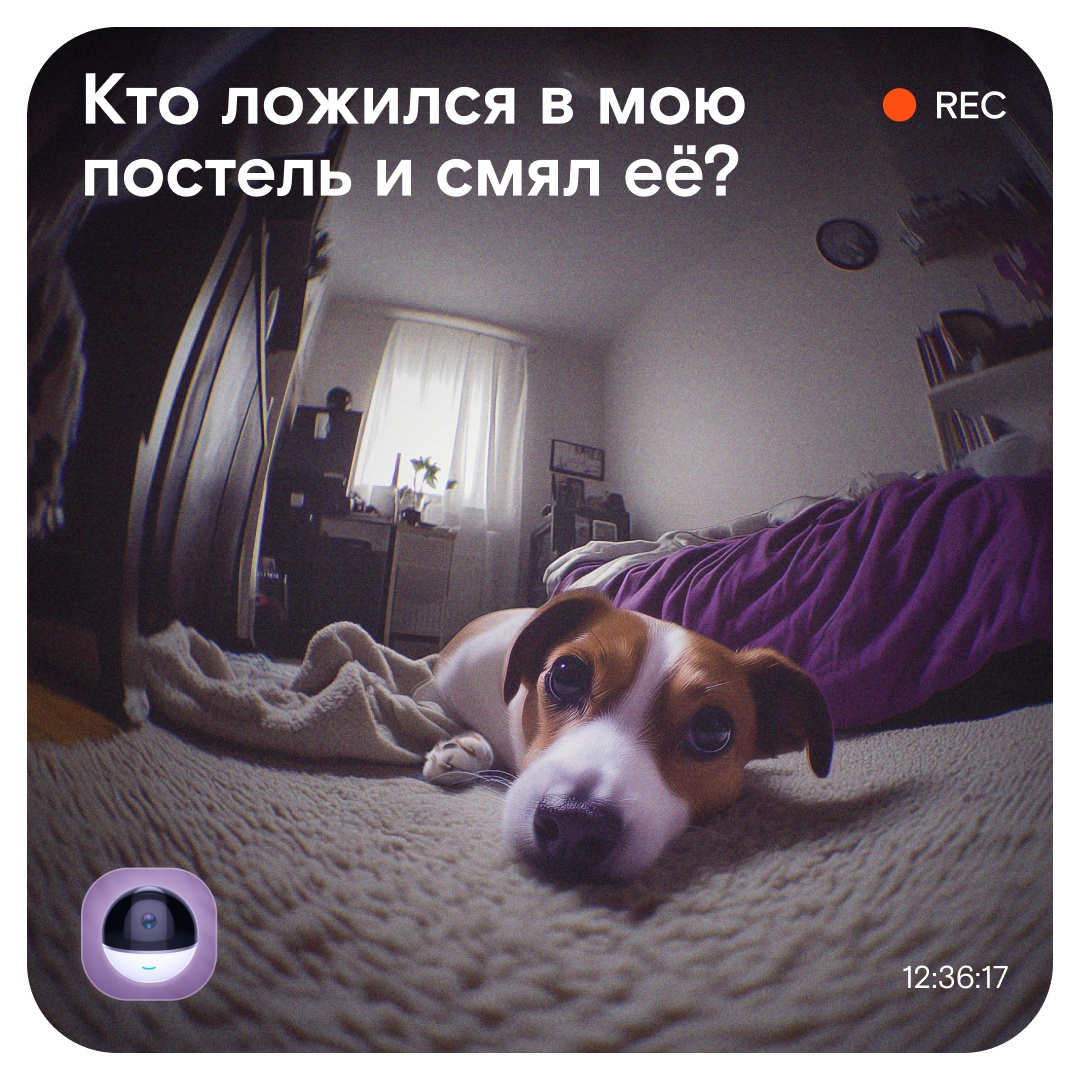 Нет, мы не сказку пересказываем. Мы просто очень хорошо понимаем владельцев пушистых проказников!