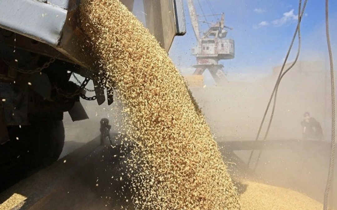 Аналитический центр «СовЭкон» повысил оценку объема экспорта российской пшеницы в декабре с 3,3 млн т до 3,4 млн т против 4,1 млн тонн в ноябре. Объем вывоза в…