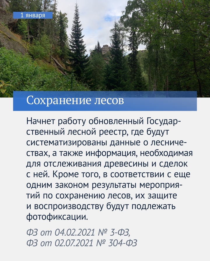 Во все государственные и муниципальные органы власти можно будет обратиться через «Госуслуги», примут новые меры по сохранению лесов и развитию туризма, в…